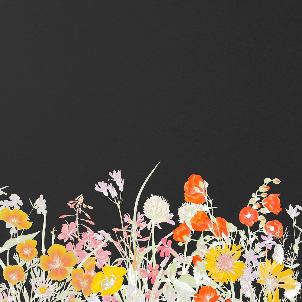 Colorful blooming flower vintage black background