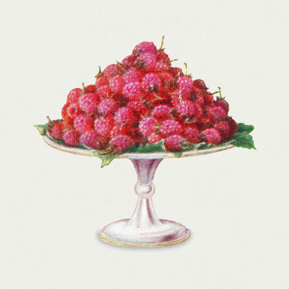 Vintage hand drawn raspberries design element