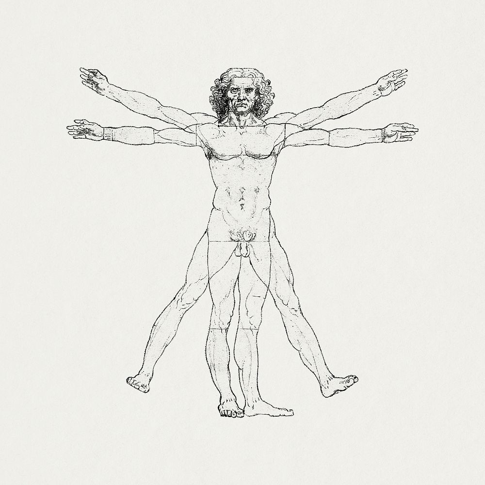 Vitruvian man, human body famous drawing, remixed from artworks by Leonardo da Vinci