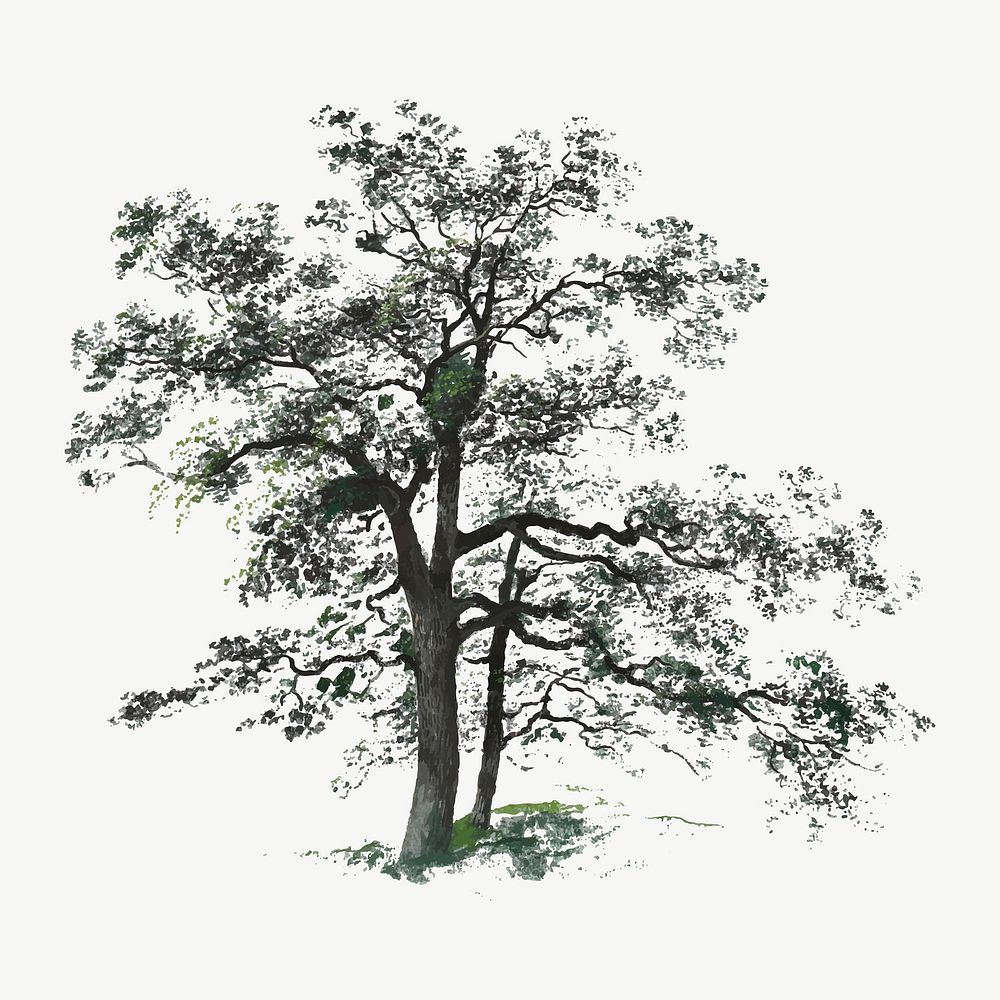 Vintage tree illustration vector, remix from artworks by Johann Jacob Dorner