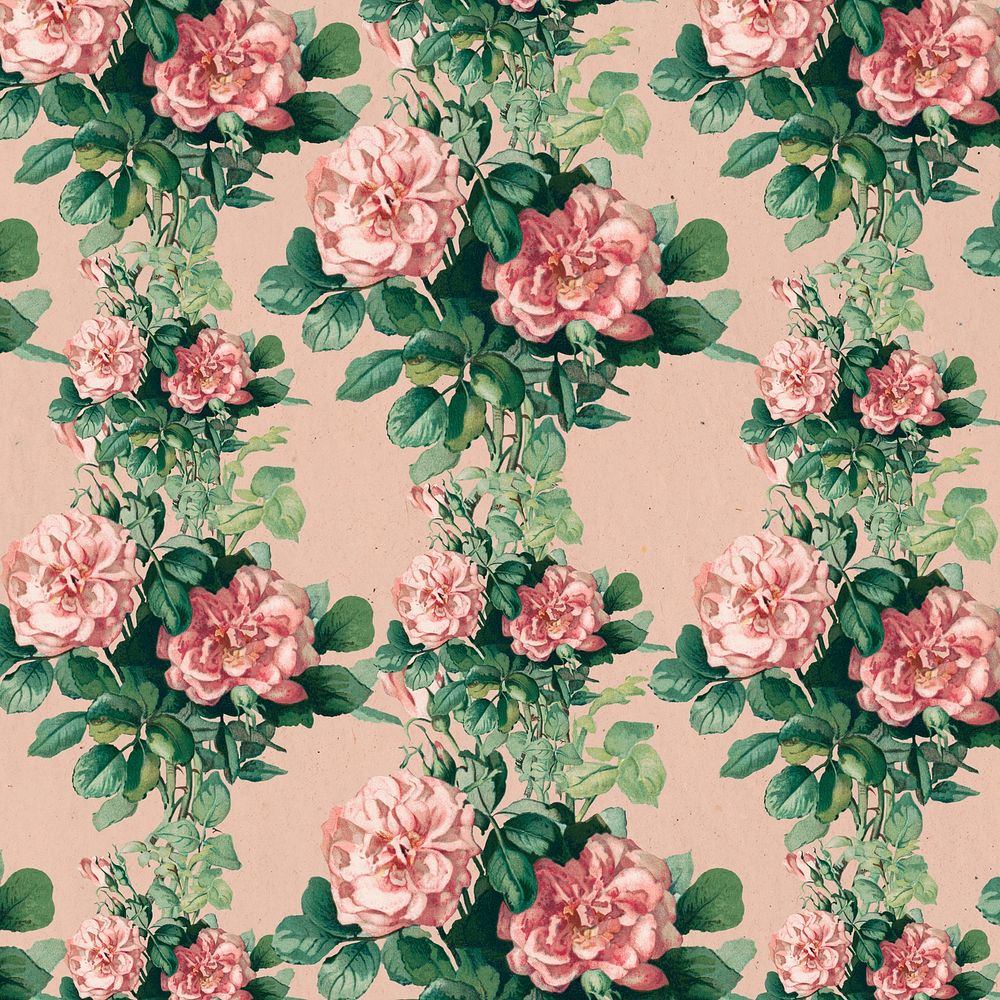 Vintage pink rose floral pattern illustration, remix from artworks by L. Prang & Co.