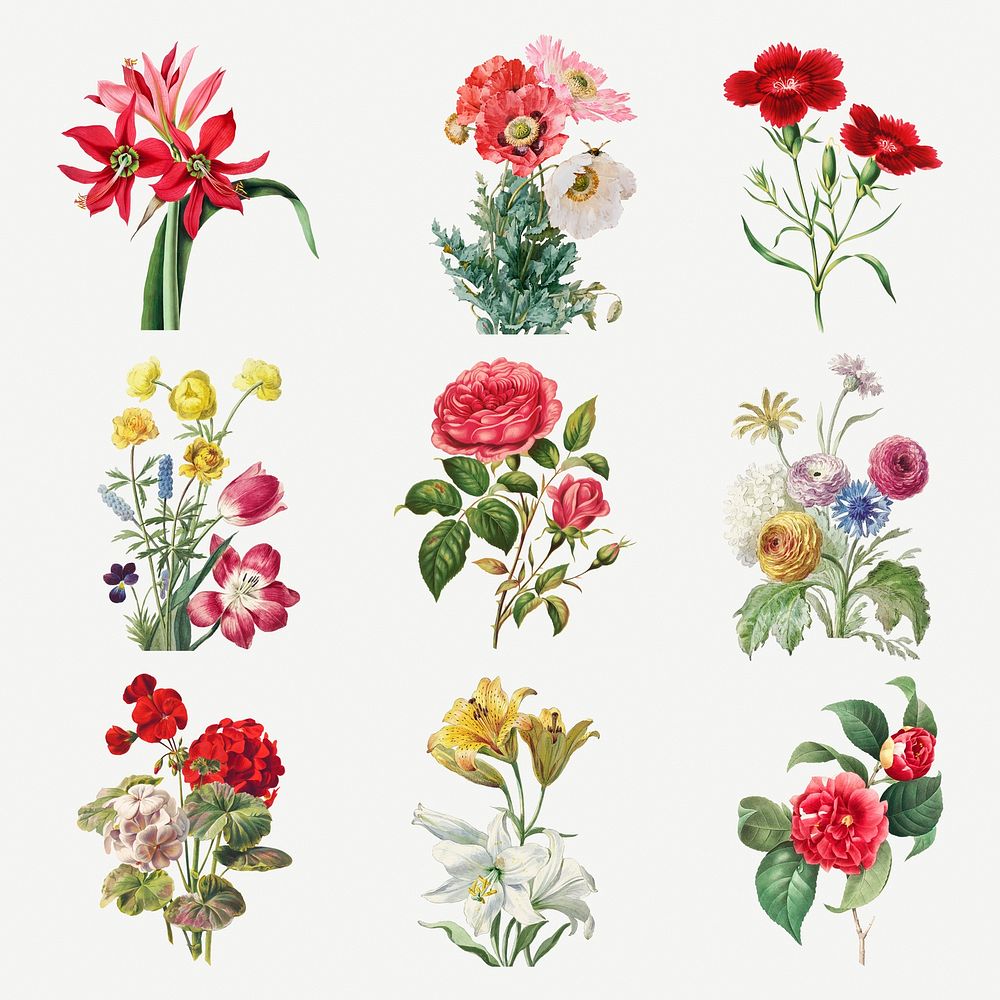 Vintage blooming flowers illustration set