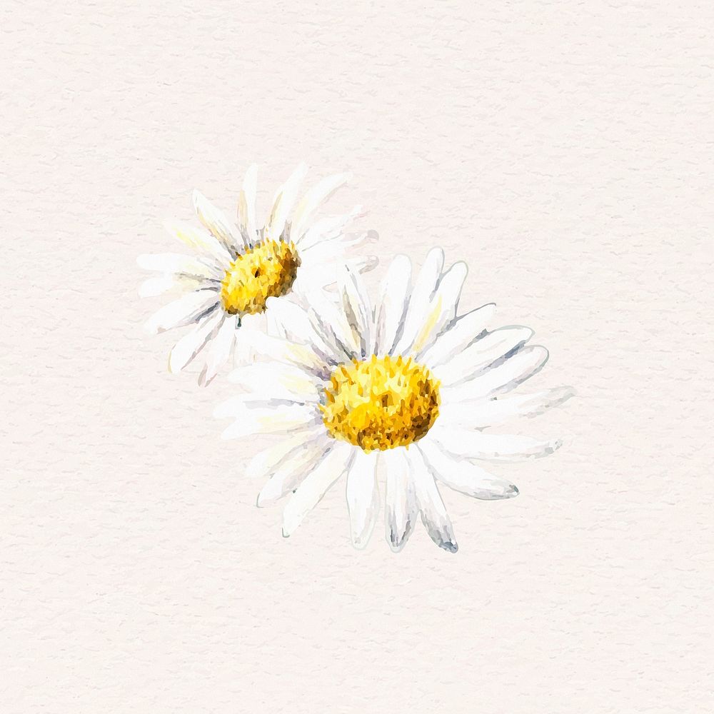 White daisy vintage psd graphic