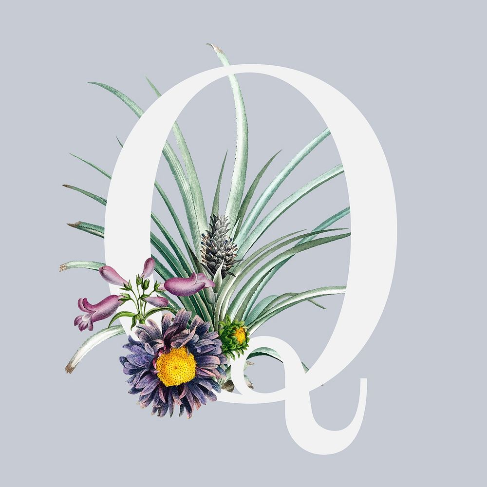 Q floral alphabet lettering psd