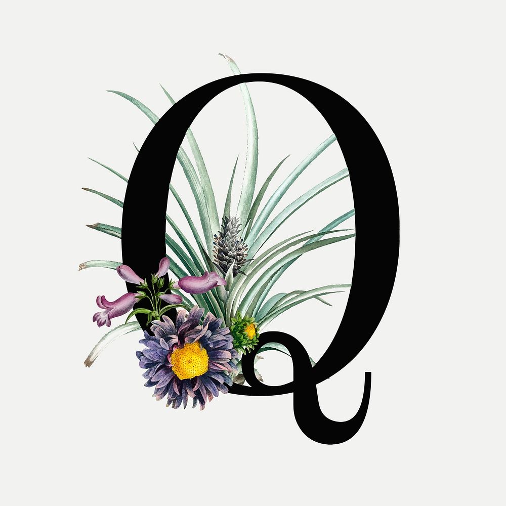 Q letter floral vintage vector