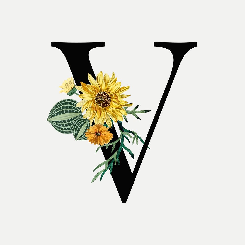 V letter vector floral font