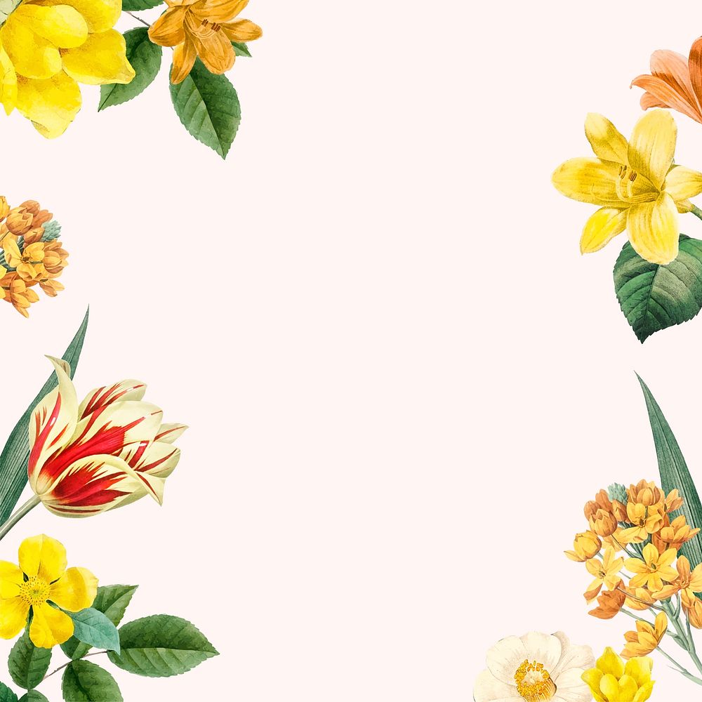 Spring background psd with yellow flower border