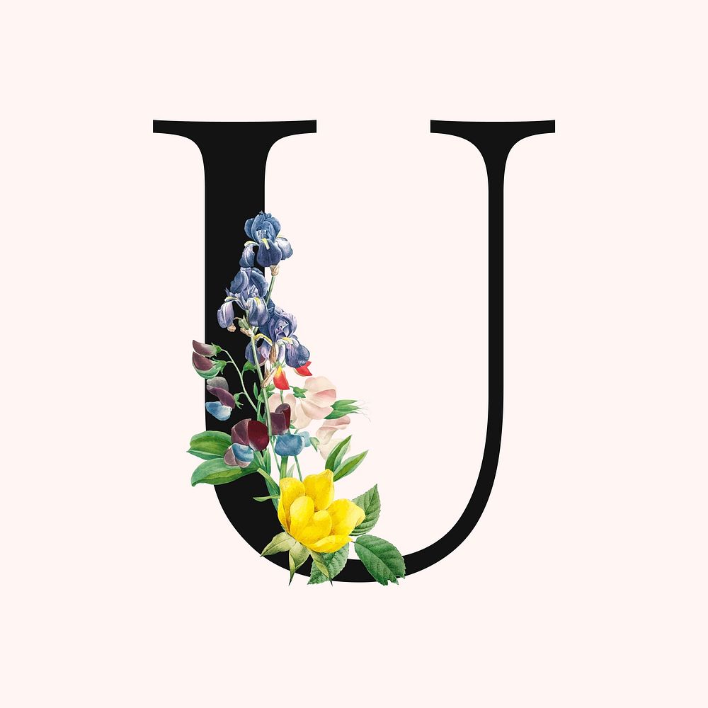 Flower decorated capital letter U typography vector