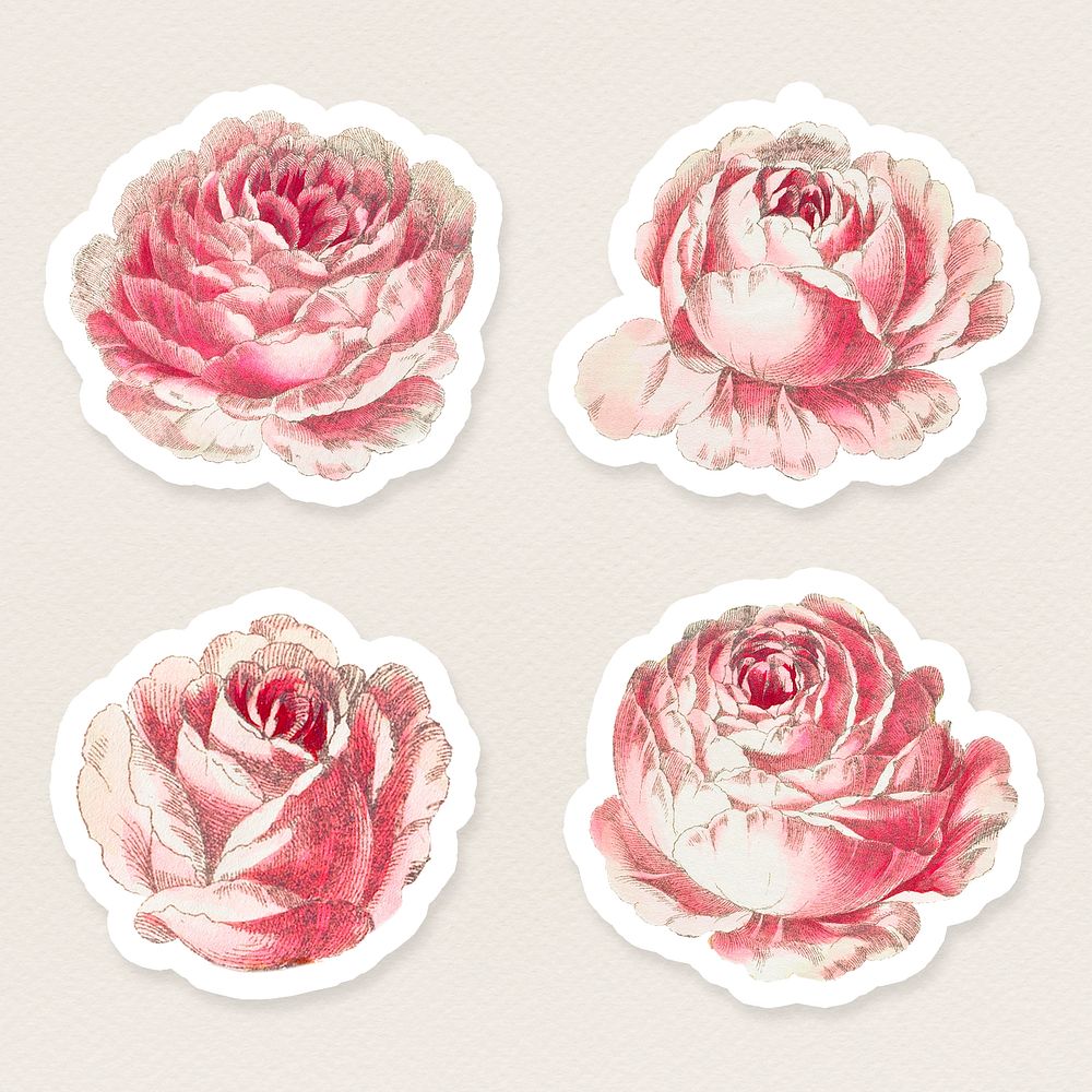 Vintage rose sticker collection