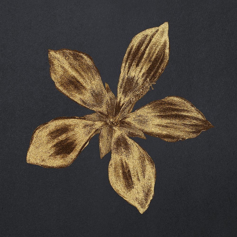 Vintage gold ketmia flower design element