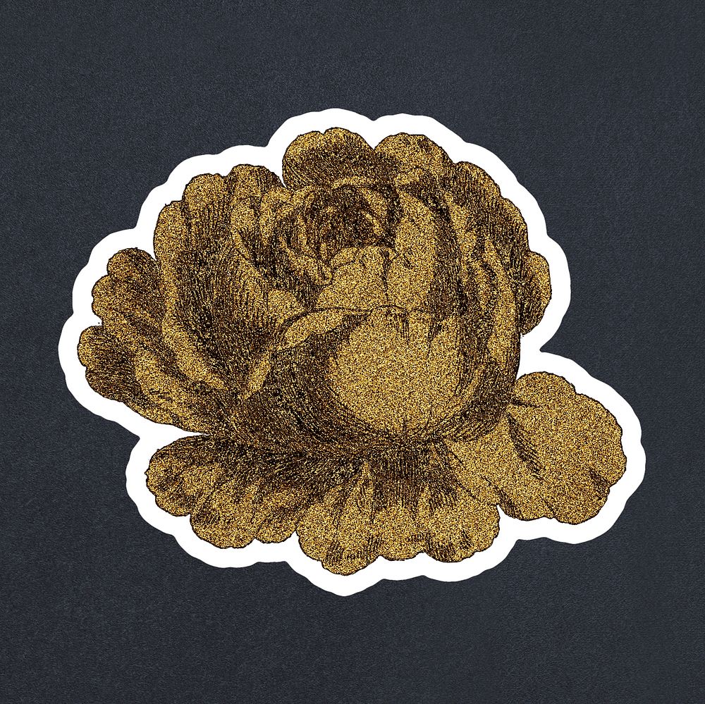 Vintage gold cabbage provence rose flower sticker with white border