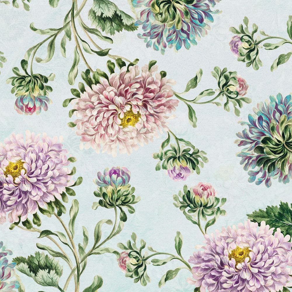 Vintage large double china aster flower pattern background design resource