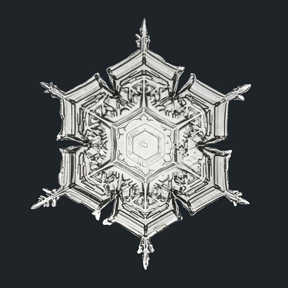 Winter snowflake vector macro photography, remix of art by Wilson Bentley