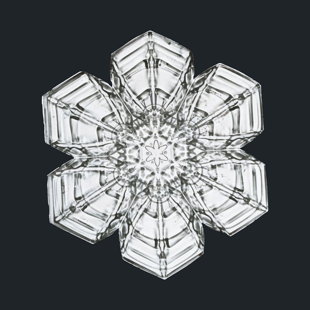 Winter snowflake vector macro photography, remix of art by Wilson Bentley