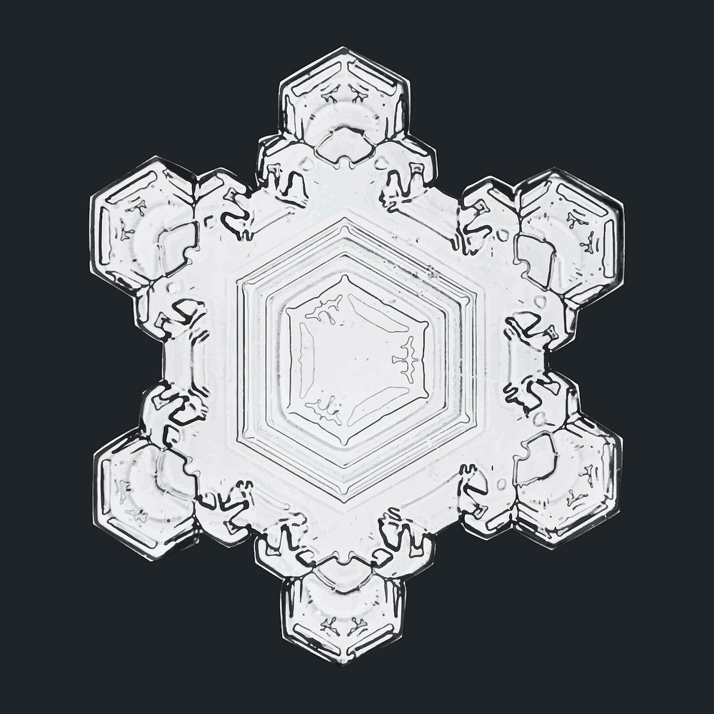 Christmas snowflake vector macro photography, remix of art by Wilson Bentley