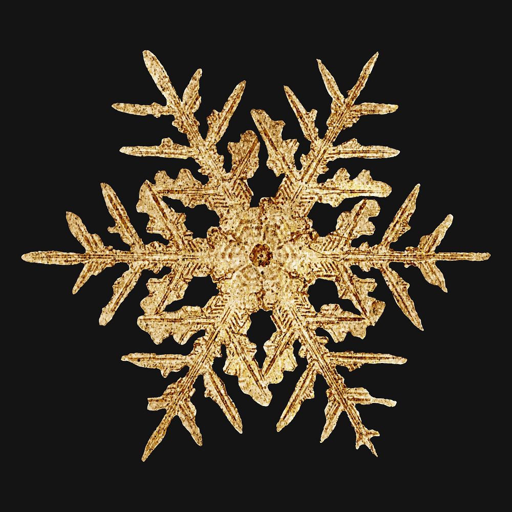 Winter gold snowflake vector macro photography, remix of art by Wilson Bentley