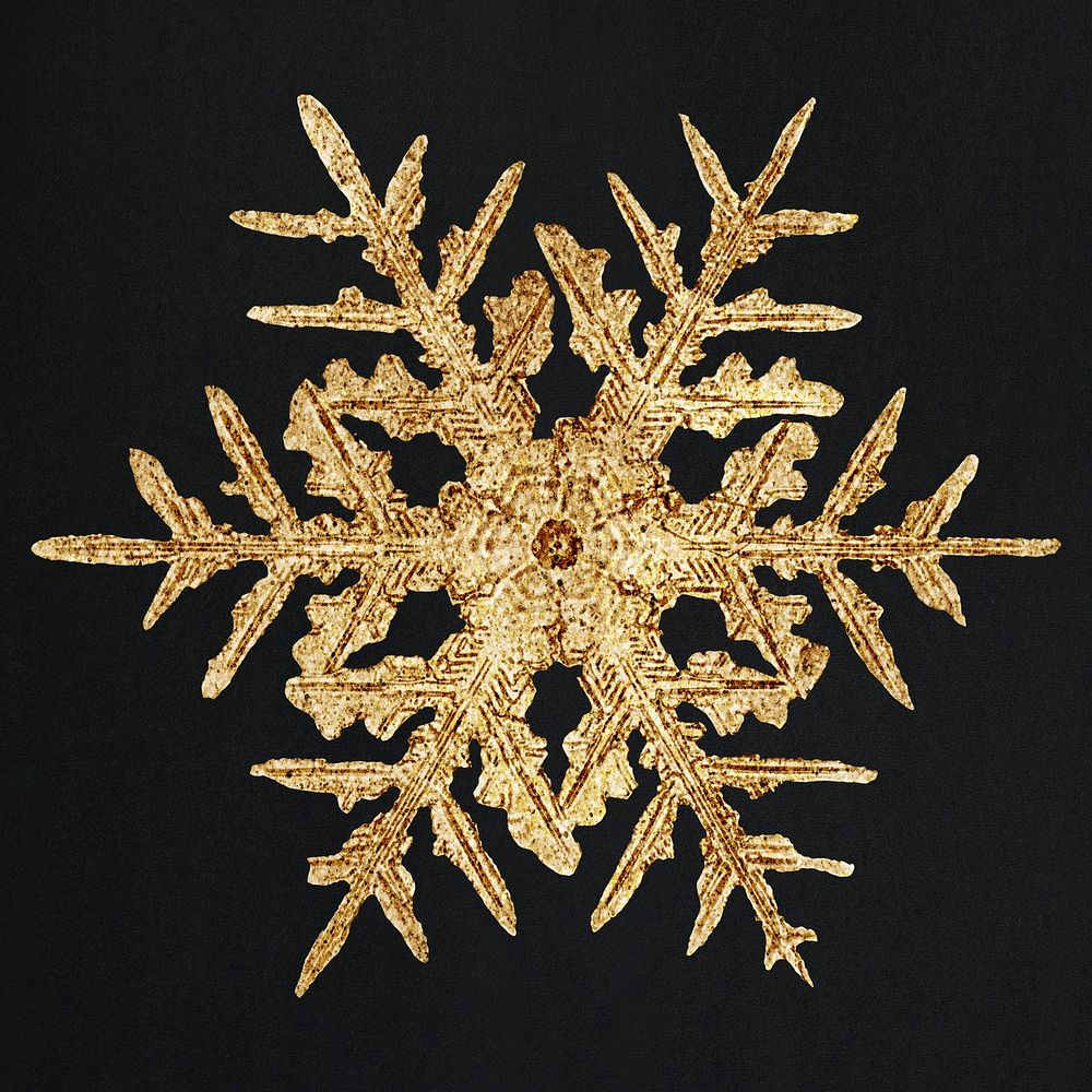 New year gold snowflake macro photography, remix of art by Wilson Bentley