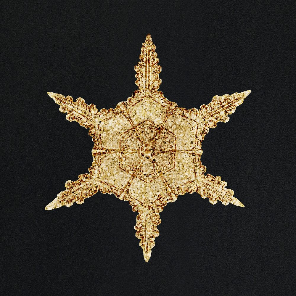 Gold snowflake psd go Christmas ornament macro photography, remix of photography by Wilson Bentley