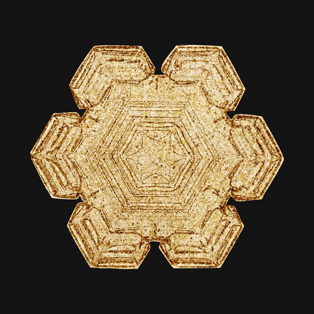 Christmas gold snowflake vector macro photography, remix of art by Wilson Bentley