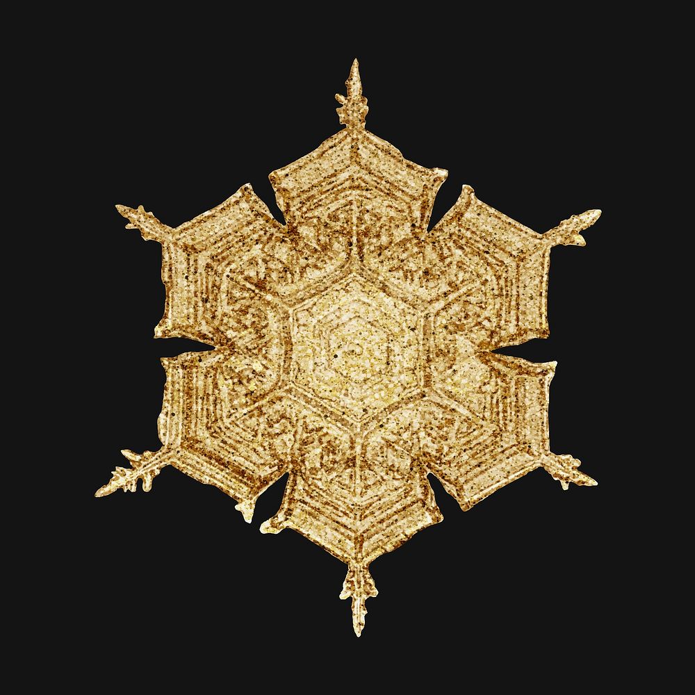 Winter gold snowflake vector macro photography, remix of art by Wilson Bentley