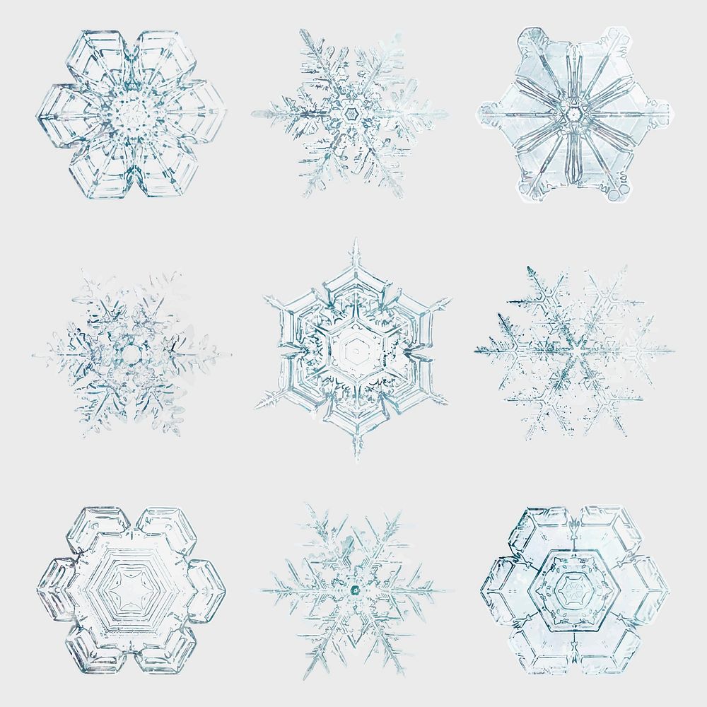 Christmas snowflake vector macro photography set, remix of art by Wilson Bentley