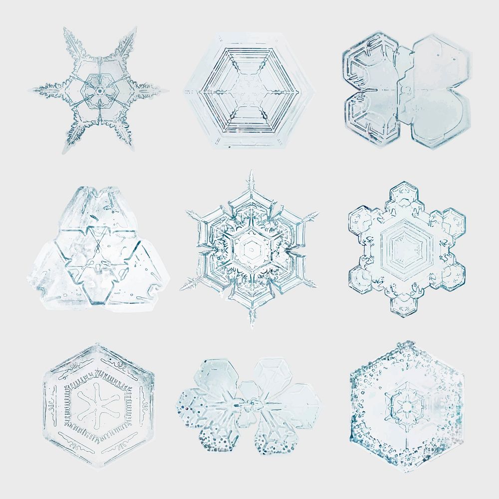 Icy snowflake vector macro photography set, remix of art by Wilson Bentley