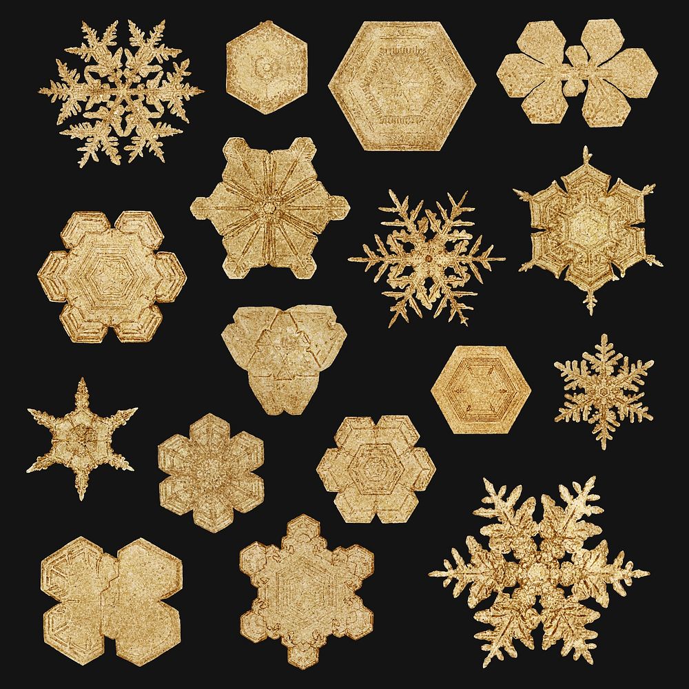 Gold Christmas snowflake vector set macro photography, remix of art by Wilson Bentley