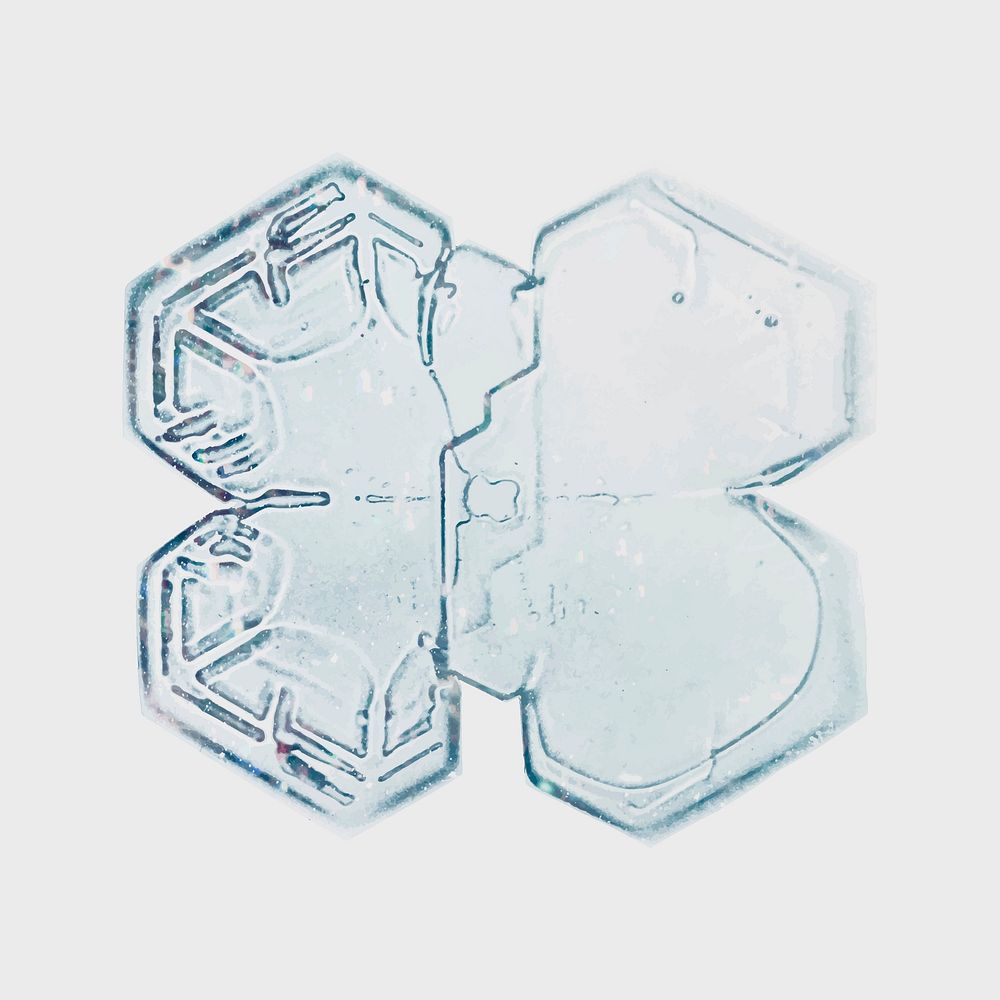 New year snowflake vector macro photography, remix of art by Wilson Bentley