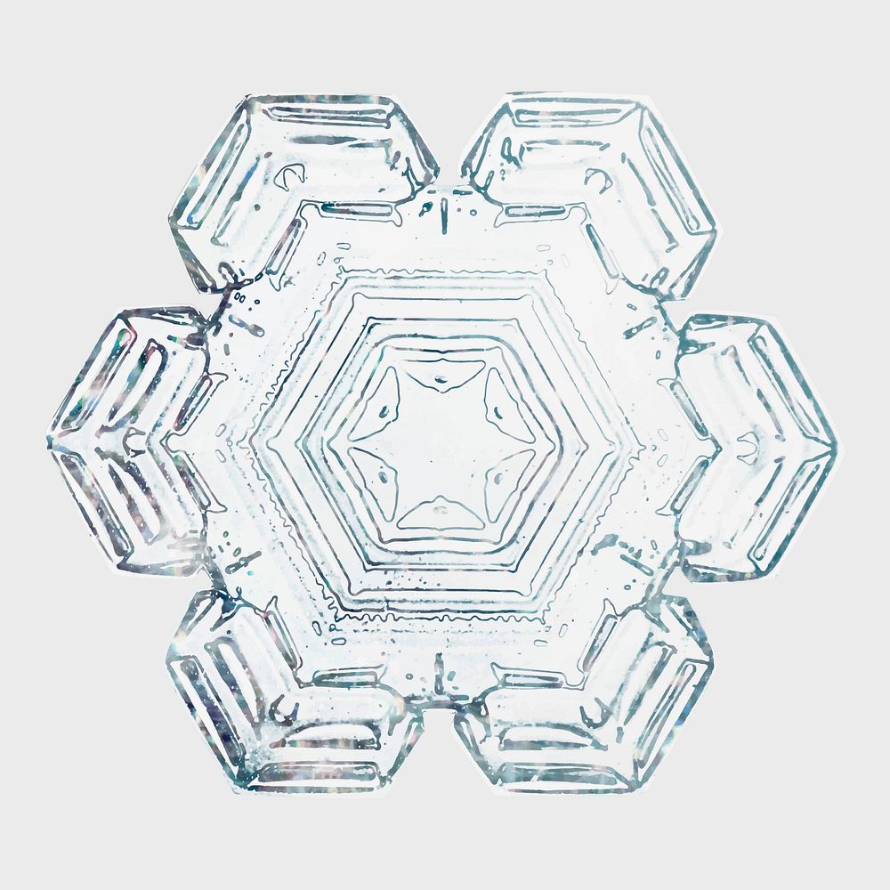 Snowflake vector macro photography Christmas ornament, remix of photography by Wilson Bentley