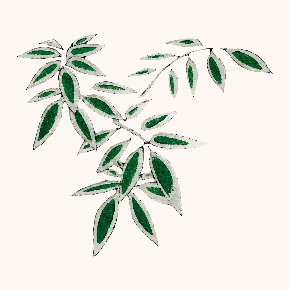Japanese bamboo leaf ornamental vector element, remix of artwork by Watanabe Seitei