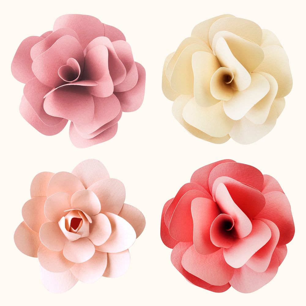 Rose and camellia paper flower psd set