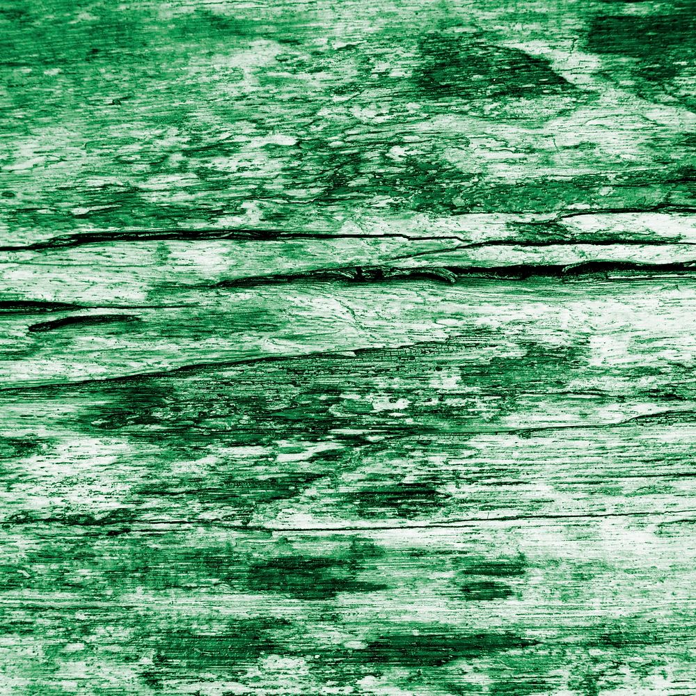 Green rough wood texture surface