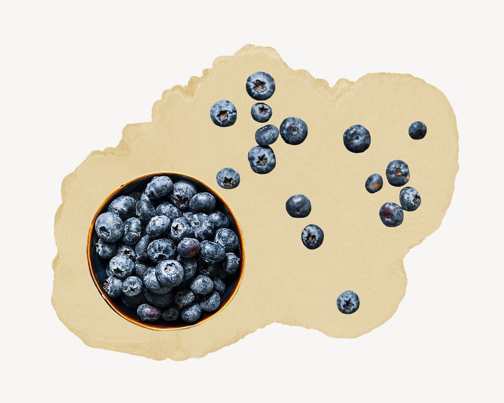 Blueberry bowl, ripped paper collage element
