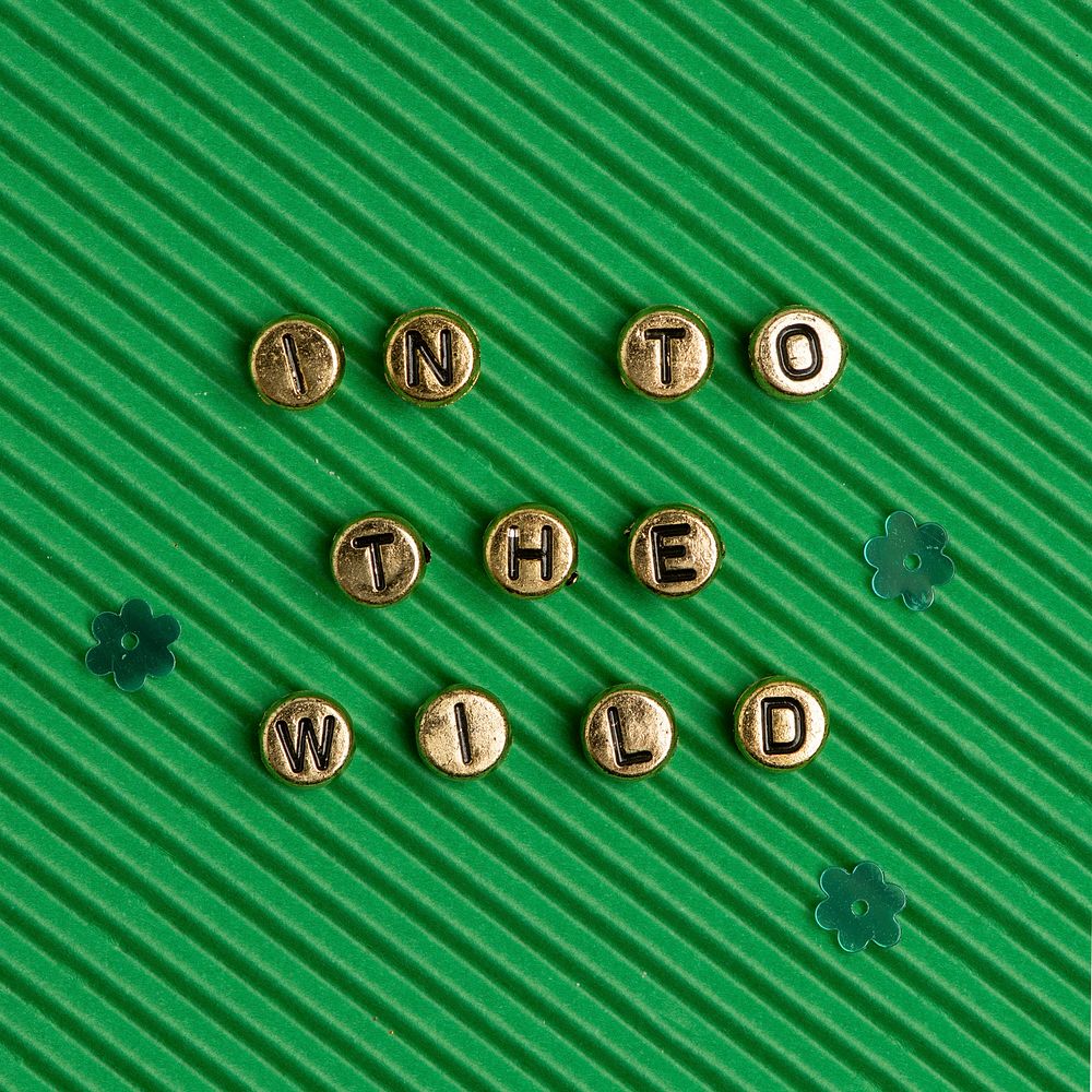 IN TO THE WILD beads message typography