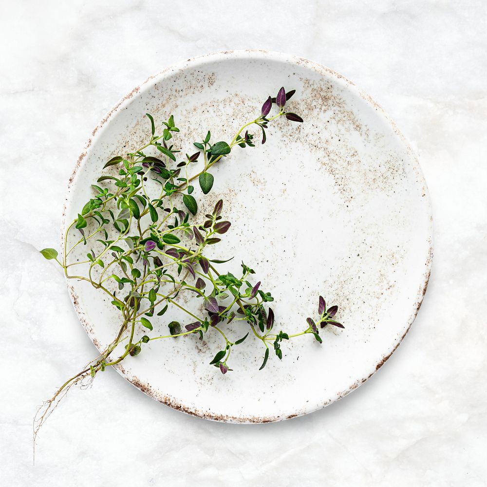 Thyme leaves on plate psd fresh herbs flat lay