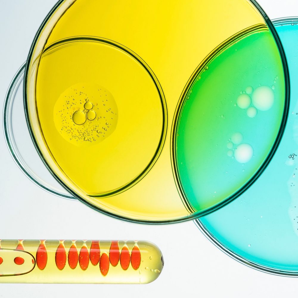 Science experiment background, petri dishes flat lay