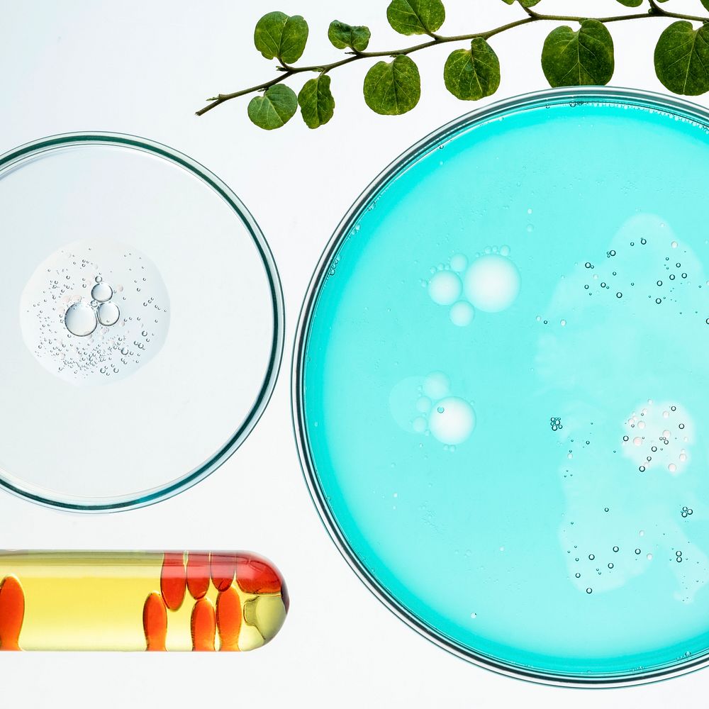 Science background, petri dishes flat lay