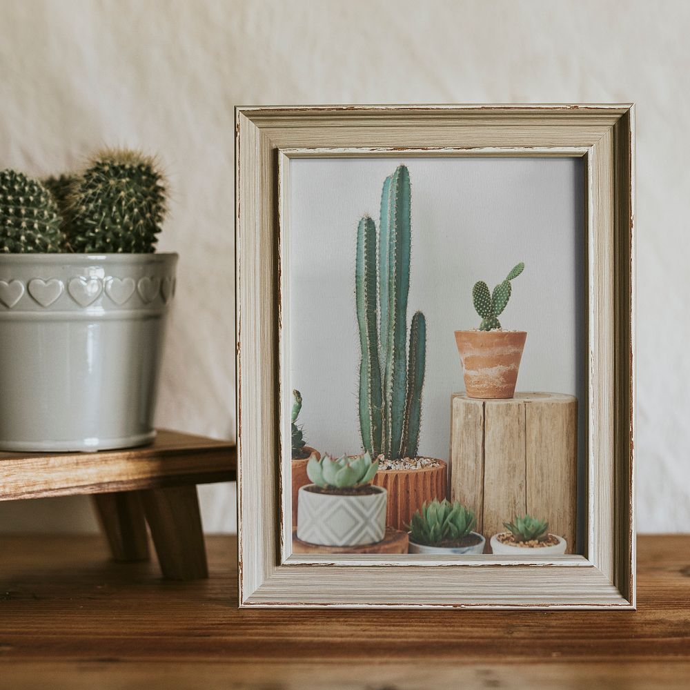 Framed aesthetic cactus photo, aesthetic home decoration