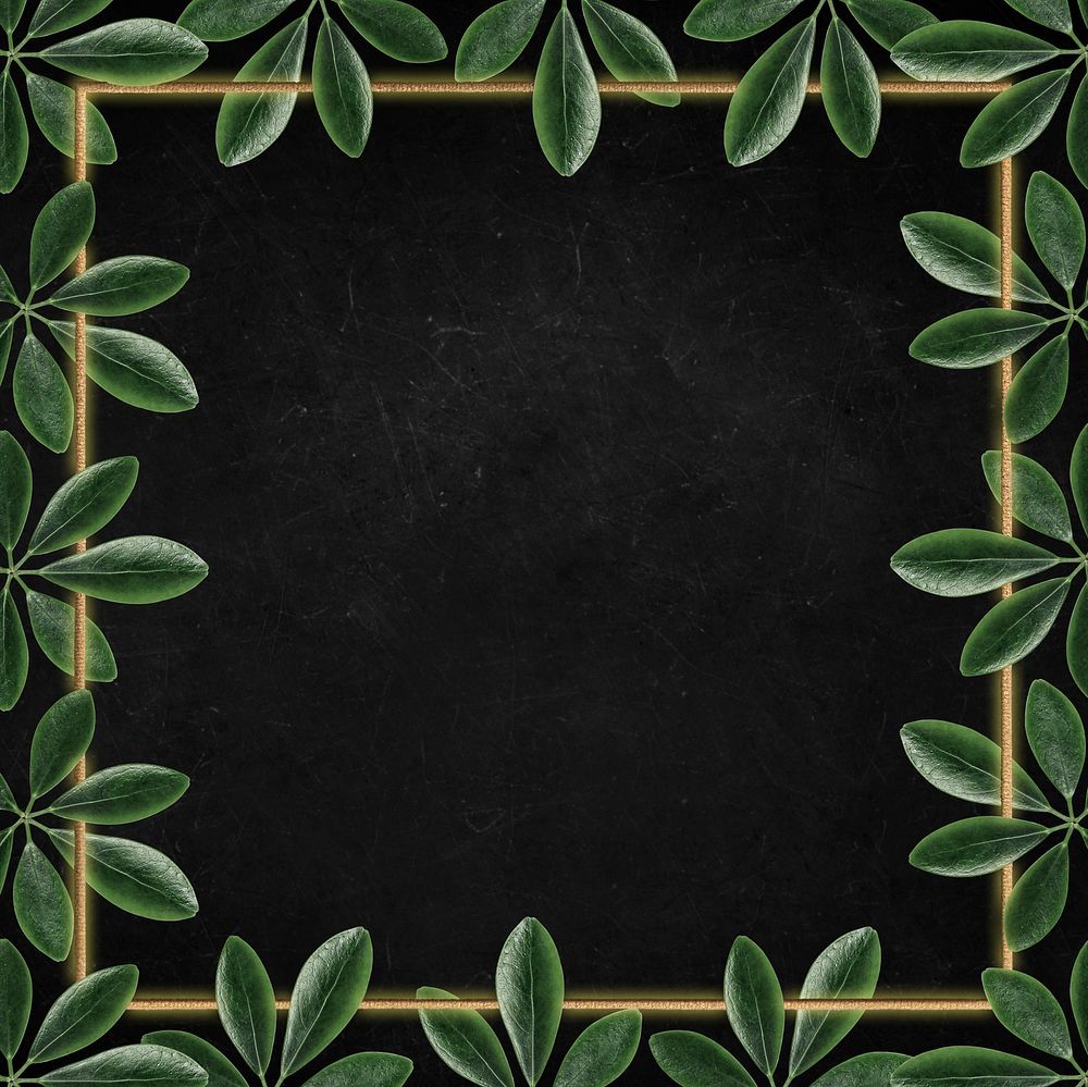 Green leaves with golden square frame on black background