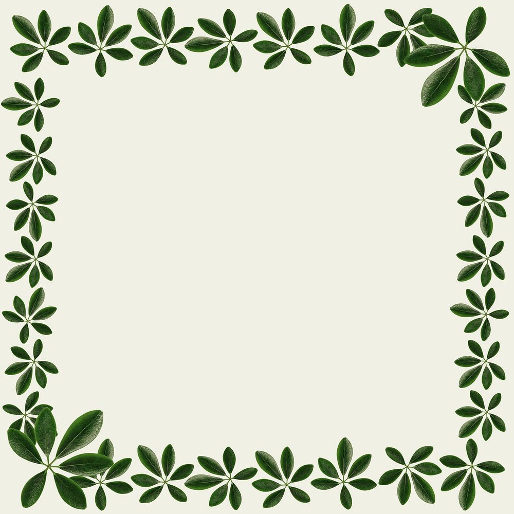 Green leaves square frame on off white background