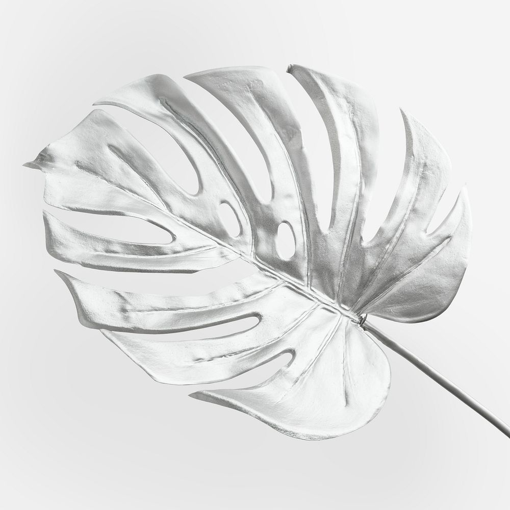 Monstera leaf painted in silver on a gray background