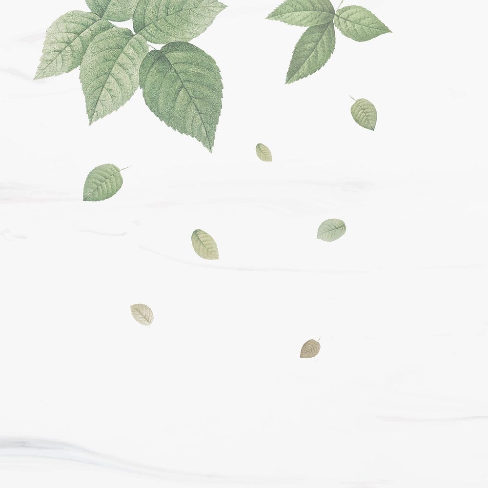 Green foliage pattern on white background vector