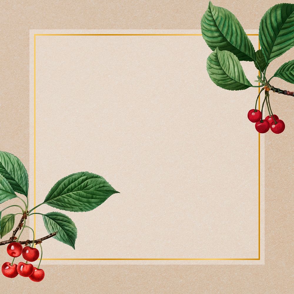 Hand drawn cherry pattern with square gold frame illustration