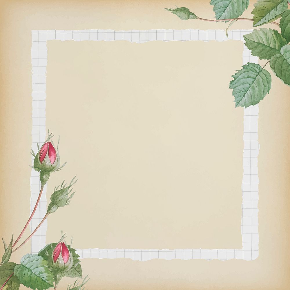 Double moss rose with grid white frame on beige background vector