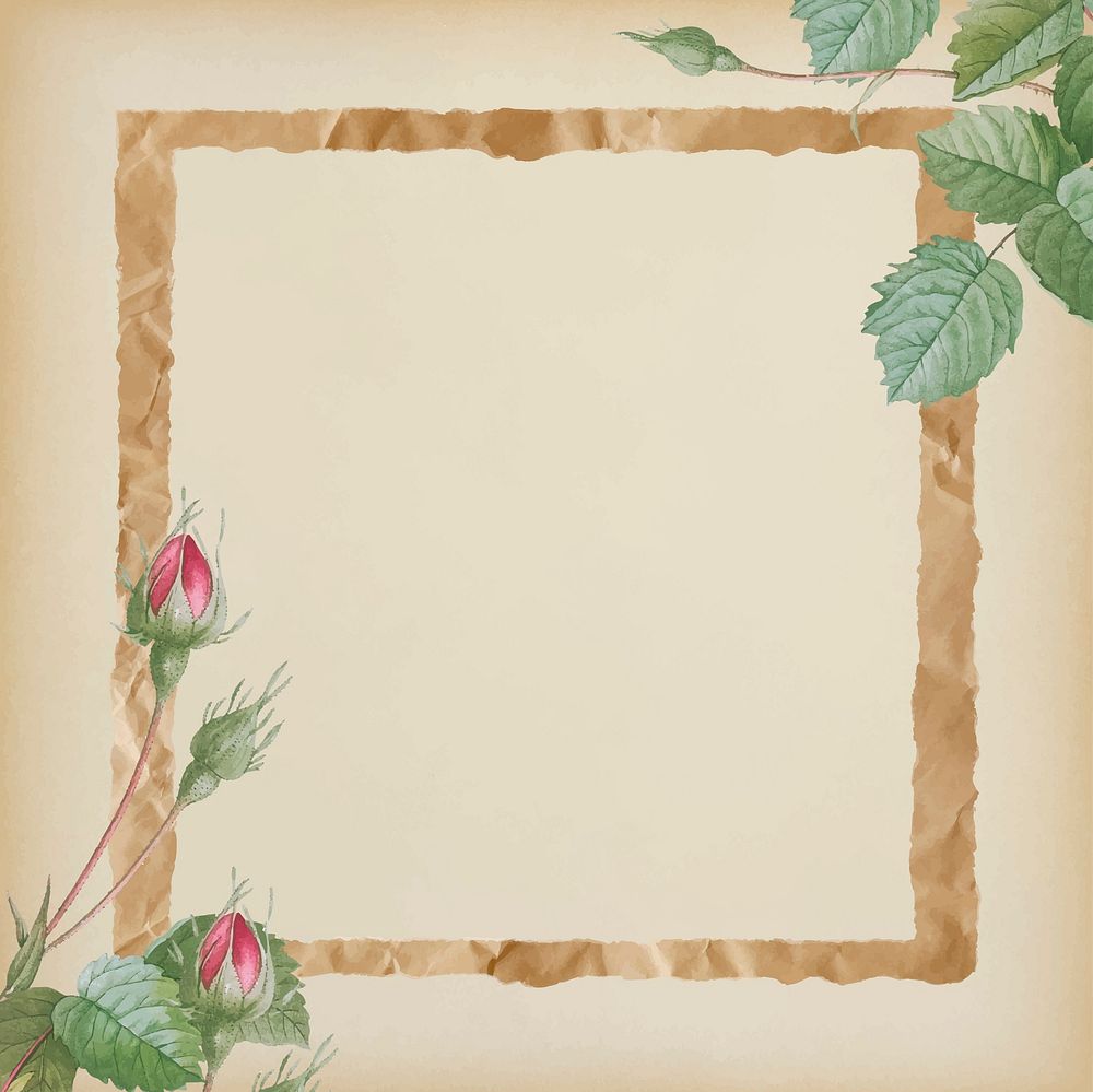 Double moss rose with crumpled brown paper frame on beige background vector