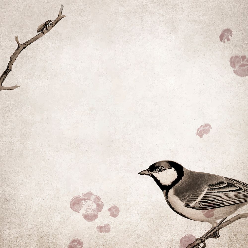 Talgoxe great tit on a grunge brown background vector