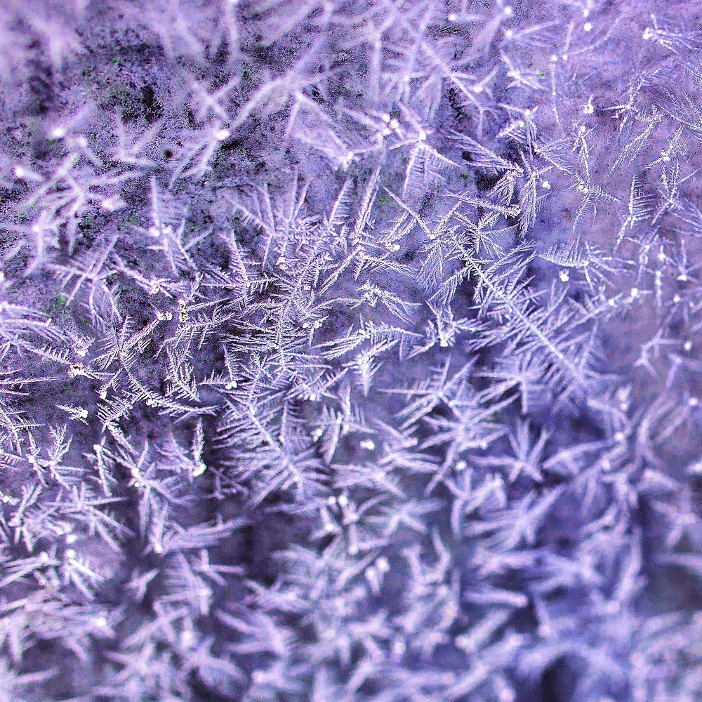 Purple frost on a window background