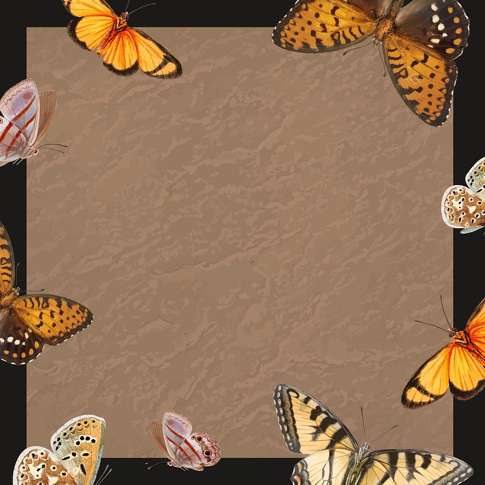 Butterfly patterned on brown background vector