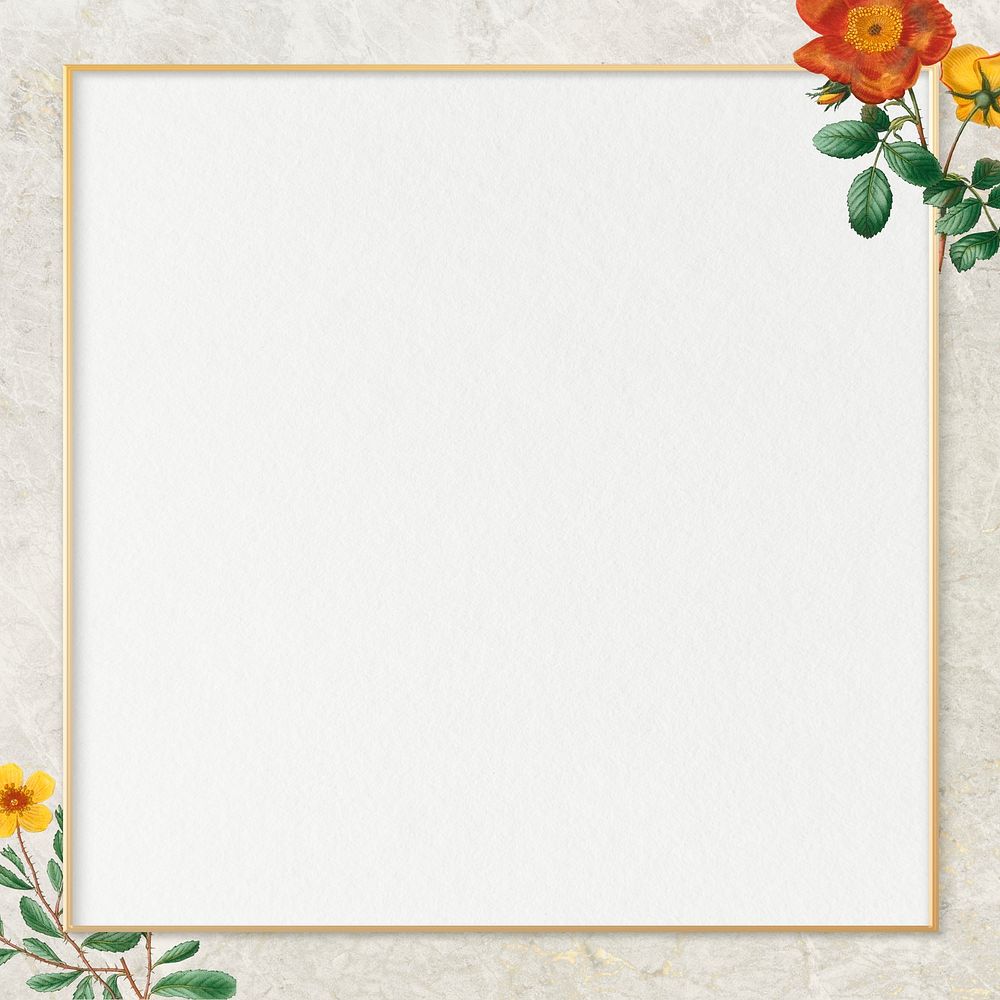 Gold frame with Chilean avens pattern on beige background illustration