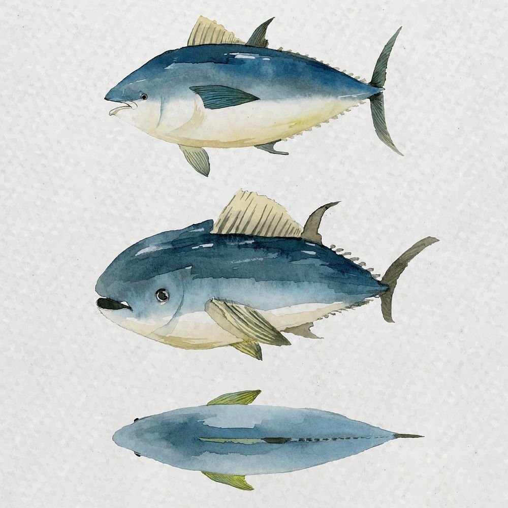 Watercolor painted tuna in watercolor banner vector
